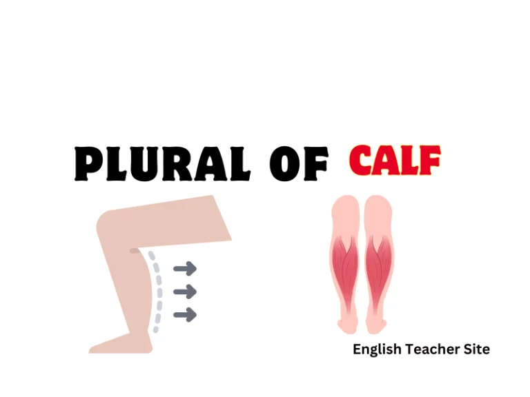 What’s the Plural of Calf: Understanding English Nouns