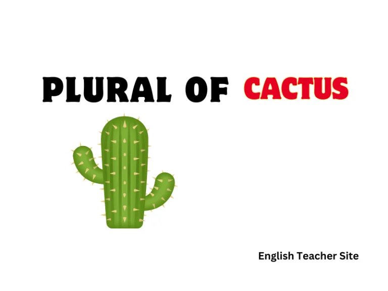 What’s the Plural of Cactus? Understanding Variations in English Nouns