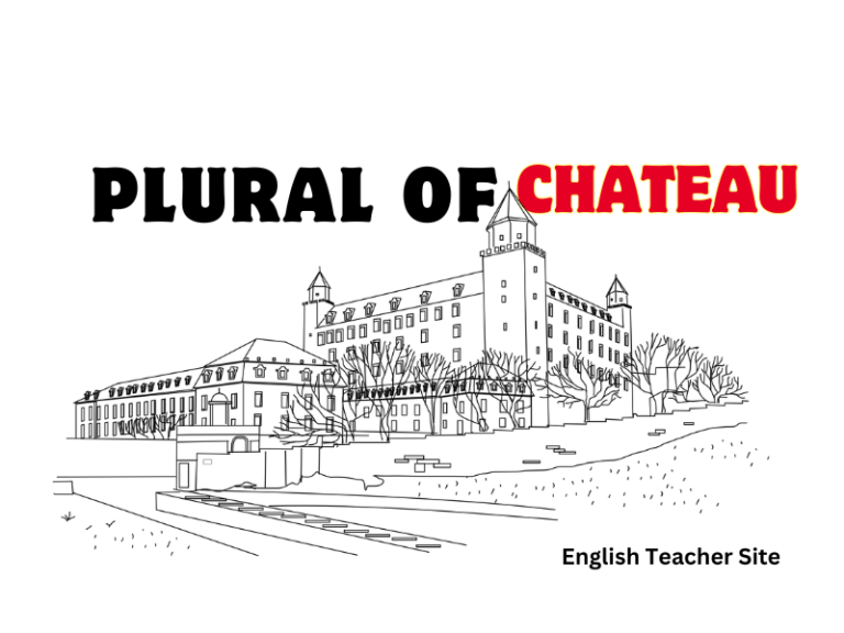 What’s the Plural of Chateau: Understanding French Nouns