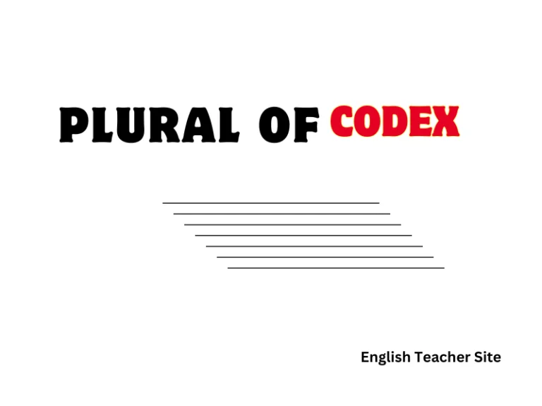 Whats the Plural of Codex: Understanding Multiple Codices