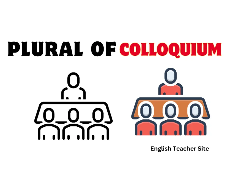 Whats the Plural of Colloquium: A Concise Guide to Academic Terms