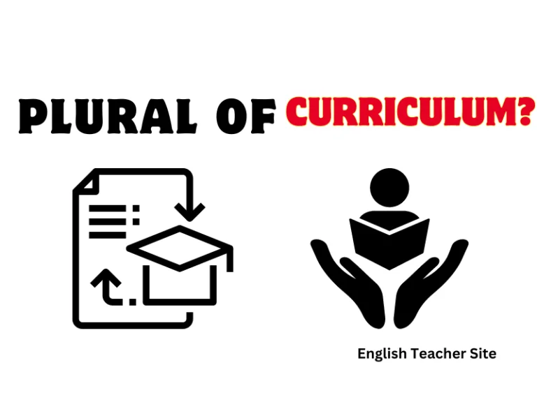 What’s the Plural of Curriculum? Understanding Educational Terminology