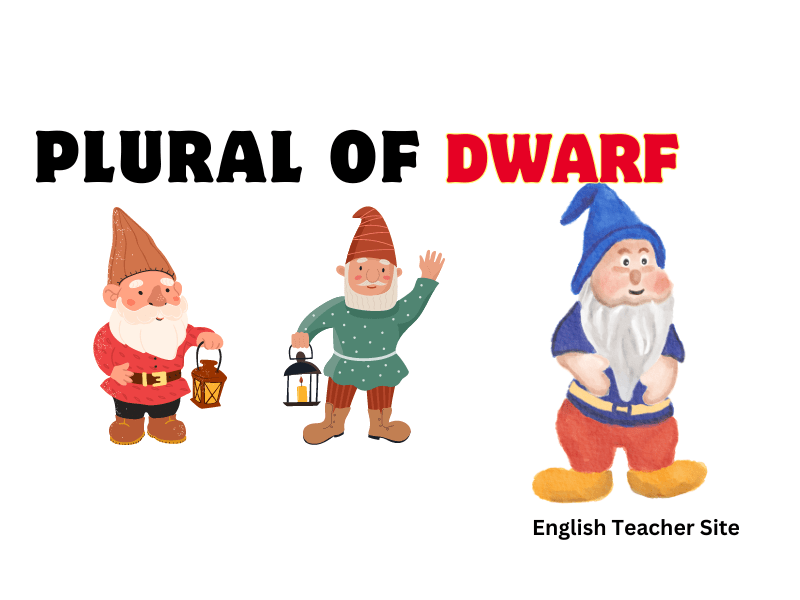 What's the Plural of Dwarf Understanding Singular and Plural Forms