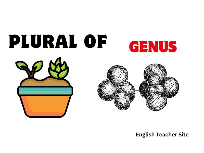 thank you 2024 07 20T195701.650 What's the Plural of Genus: Understanding Scientific Terminology