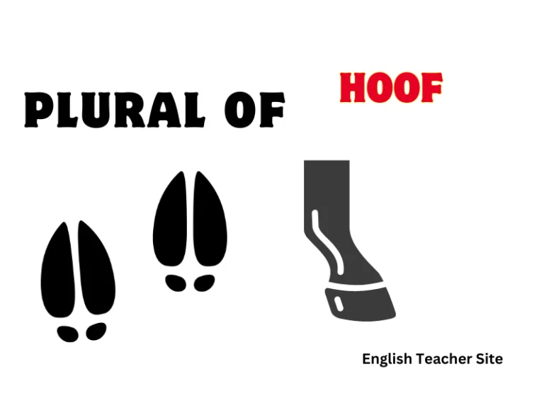 What’s the Plural of Hoof? Understanding Singular and Plural Forms