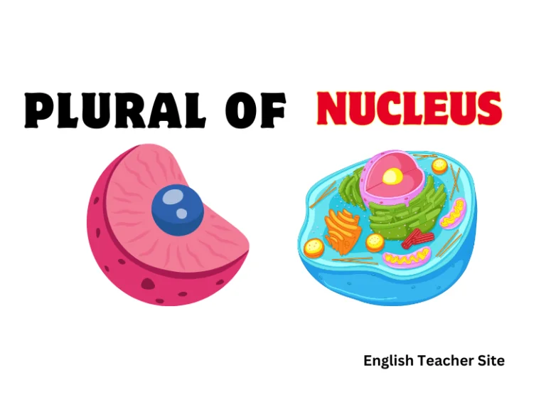 What’s the Plural of Nucleus? – Understanding Singular and Plural Forms in Science